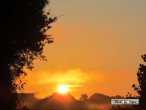 Klick für Originalgröße :sonnenpracht0343.jpg
