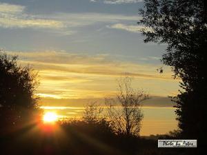 Klick für Originalgröße :sonnenpracht0367.jpg
