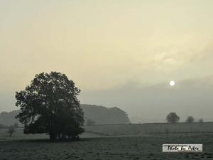 Klick für Originalgröße :sonnenpracht0377.jpg