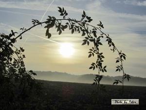 Klick für Originalgröße :sonnenpracht0385.jpg