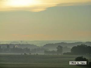 Klick für Originalgröße :sonnenpracht0390.jpg