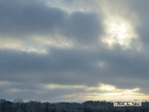 Klick für Originalgröße :sonnenpracht0413.jpg