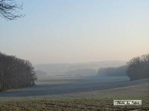 Klick für Originalgröße :sonnenpracht0417.jpg