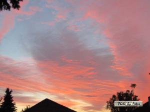 Klick für Originalgröße :sonnenpracht0419.jpg