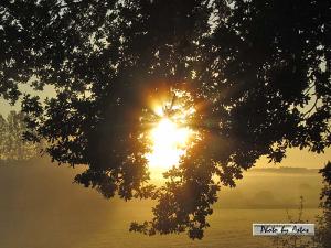 Klick für Originalgröße :sonnenpracht0436.jpg
