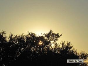Klick für Originalgröße :sonnenpracht0439.jpg