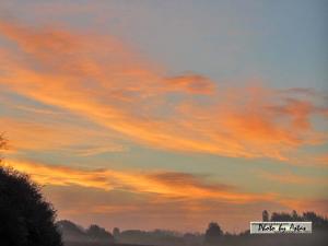 Klick für Originalgröße :sonnenpracht0441.jpg