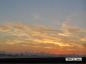 Klick für Originalgröße :sonnenpracht0443.jpg
