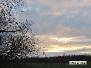 Klick für Originalgröße :sonnenpracht0447.jpg