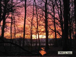 Klick für Originalgröße :sonnenpracht0454.jpg