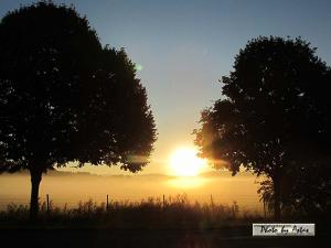 Klick für Originalgröße :sonnenpracht0486.jpg