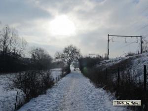 Klick für Originalgröße :sonnenpracht0491.jpg