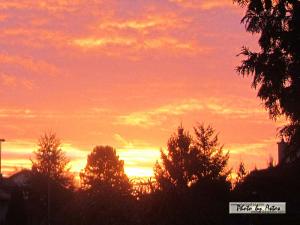 Klick für Originalgröße :sonnenpracht0507.jpg