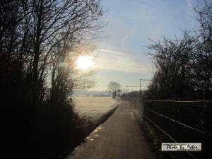 Klick für Originalgröße :sonnenpracht0513.jpg