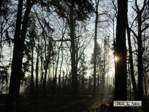 Klick für Originalgröße :sonnenpracht0522.jpg