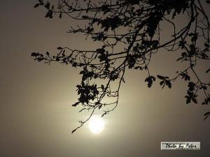 Klick für Originalgröße :sonnenpracht0560.jpg