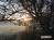 Bild#563(sonnenpracht0565.jpg)