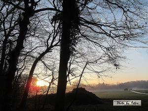 Klick für Originalgröße :sonnenpracht0584.jpg
