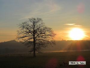 Klick für Originalgröße :sonnenpracht0587.jpg