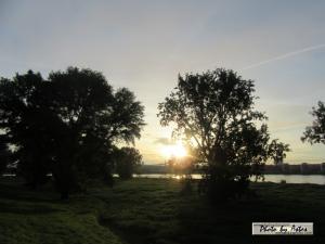 Klick für Originalgröße :sonnenpracht0595.jpg