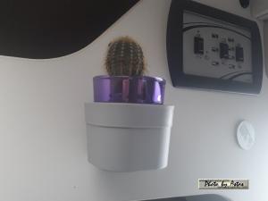 Klick für Originalgröße :Cliff0000075.jpg