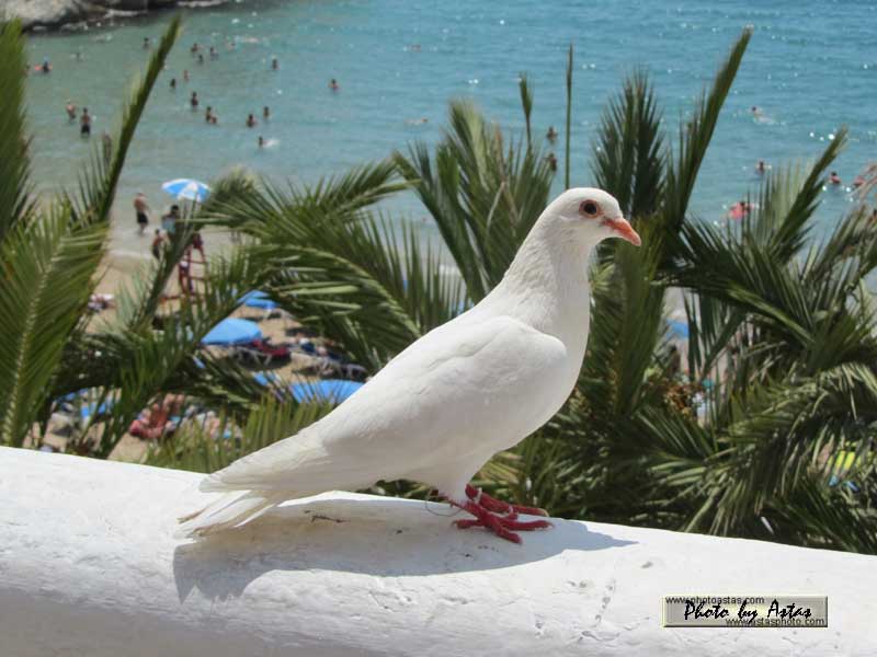 Schliessen von normal_tagesfoto00000011.jpg