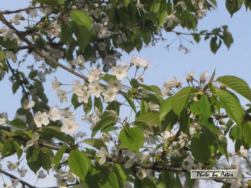 Schliessen von normal_tagesfoto00000880.jpg