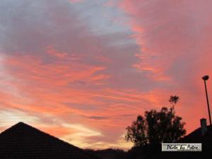 Klick f&uuml;r Originalgr&ouml;&szlig;e :normal_tagesfoto00000139.jpg