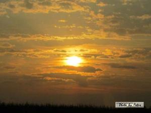 Klick f&uuml;r Originalgr&ouml;&szlig;e :normal_tagesfoto00000150.jpg