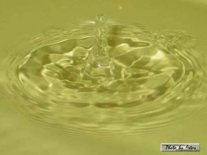 Klick f&uuml;r Originalgr&ouml;&szlig;e :normal_tagesfoto00000155.jpg