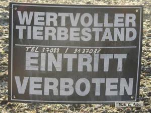 Klick f&uuml;r Originalgr&ouml;&szlig;e :normal_tagesfoto00000161.jpg