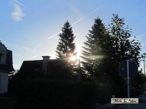 Klick f&uuml;r Originalgr&ouml;&szlig;e :normal_tagesfoto00000162.jpg