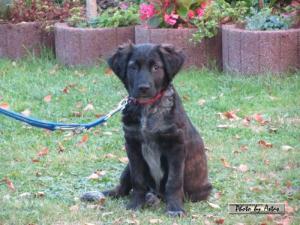 Klick f&uuml;r Originalgr&ouml;&szlig;e :normal_tagesfoto00000164.jpg