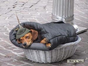 Klick f&uuml;r Originalgr&ouml;&szlig;e :normal_tagesfoto00000168.jpg