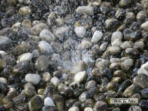 Klick f&uuml;r Originalgr&ouml;&szlig;e :normal_tagesfoto00000169.jpg