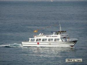 Klick f&uuml;r Originalgr&ouml;&szlig;e :normal_tagesfoto00000171.jpg