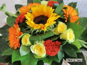 Klick f&uuml;r Originalgr&ouml;&szlig;e :normal_tagesfoto00000172.jpg