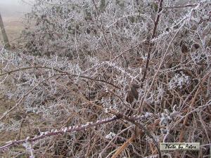 Klick f&uuml;r Originalgr&ouml;&szlig;e :normal_tagesfoto00000207.jpg