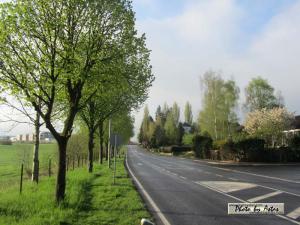 Klick f&uuml;r Originalgr&ouml;&szlig;e :normal_tagesfoto00000208.jpg