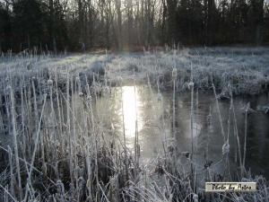 Klick f&uuml;r Originalgr&ouml;&szlig;e :normal_tagesfoto00000209.jpg