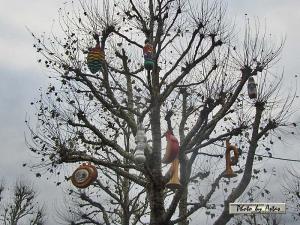 Klick f&uuml;r Originalgr&ouml;&szlig;e :normal_tagesfoto00000215.jpg