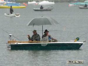 Klick f&uuml;r Originalgr&ouml;&szlig;e :normal_tagesfoto00000225.jpg