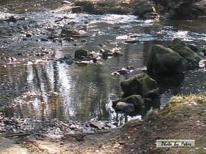 Klick f&uuml;r Originalgr&ouml;&szlig;e :normal_tagesfoto00000229.jpg