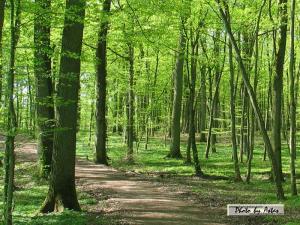 Klick f&uuml;r Originalgr&ouml;&szlig;e :normal_tagesfoto00000230.jpg