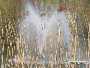 Klick f&uuml;r Originalgr&ouml;&szlig;e :normal_tagesfoto00000232.jpg