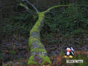 Klick f&uuml;r Originalgr&ouml;&szlig;e :normal_tagesfoto00000233.jpg