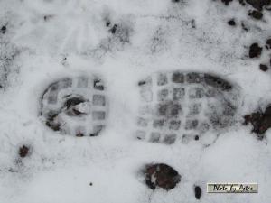 Klick f&uuml;r Originalgr&ouml;&szlig;e :normal_tagesfoto00000278.jpg