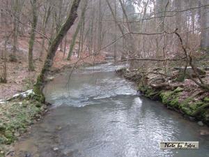 Klick f&uuml;r Originalgr&ouml;&szlig;e :normal_tagesfoto00000279.jpg