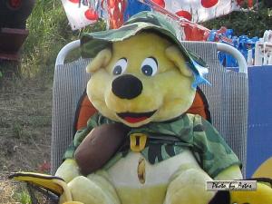 Klick f&uuml;r Originalgr&ouml;&szlig;e :normal_tagesfoto00000281.jpg