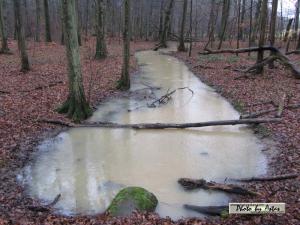 Klick f&uuml;r Originalgr&ouml;&szlig;e :normal_tagesfoto00000285.jpg